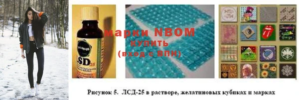 хмурый Алзамай
