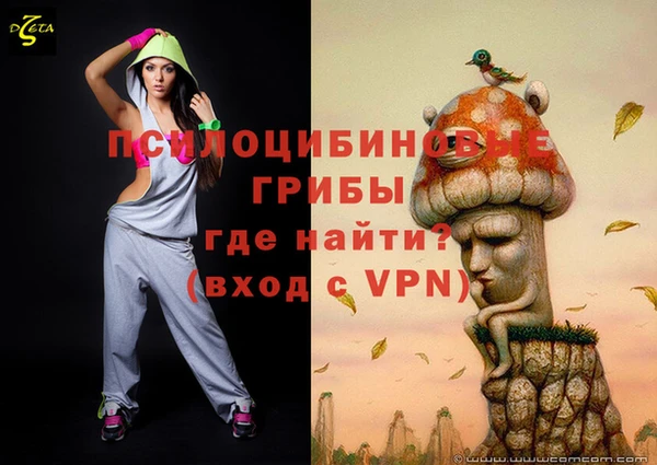 хмурый Алзамай