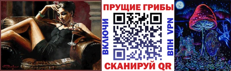 где продают наркотики  Шадринск  Псилоцибиновые грибы MAGIC MUSHROOMS 