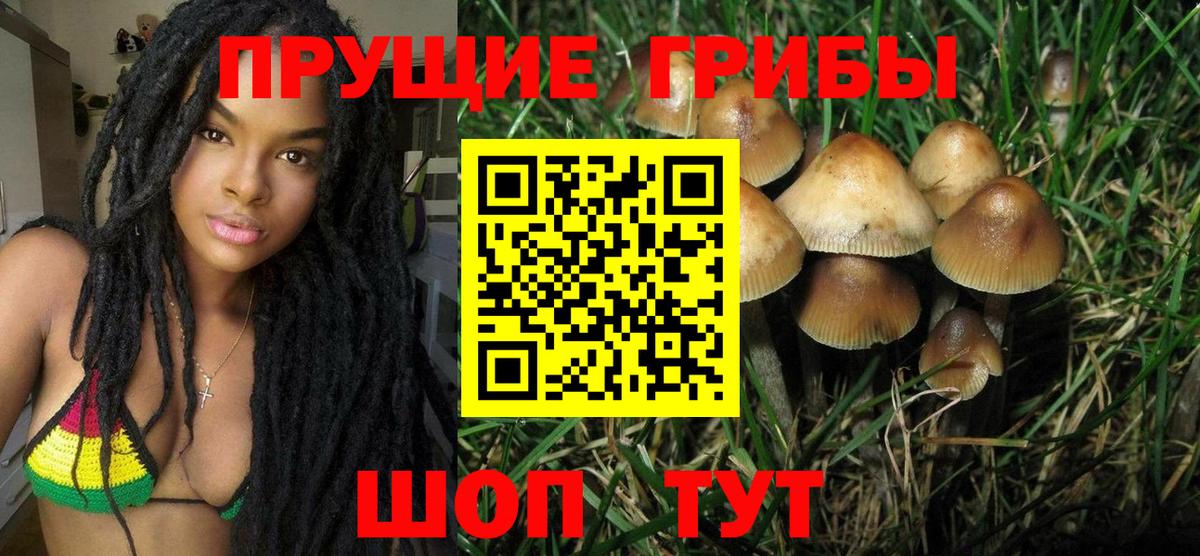 Шадринск  Псилоцибиновые грибы мицелий  Вход с VPN  Псилоцибиновые грибы Magic Shrooms 