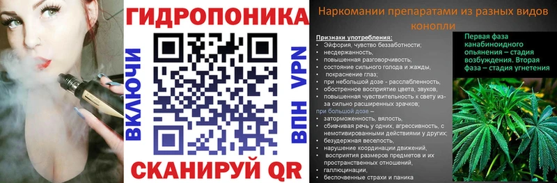 Бошки Шишки планчик  omg зеркало  Шадринск 